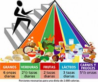 /album/vivir-sano/comida-balanceada-jpg/